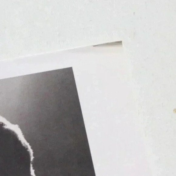 Vtg Jazz Legends 8 Print Portfolio Photos / Lithos By Lee Tanner (Art Blakey) - Picture 3 of 6